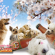 Illustration for article titled The Strange History of Bottled Drinks Marketed to Dogs and Cats